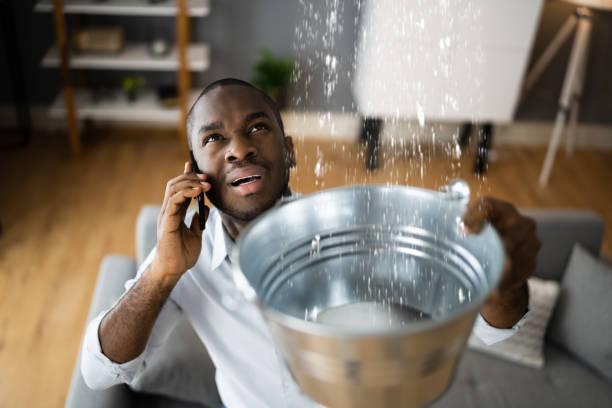 Reliable Reed City, MI Water damage restoration Solutions