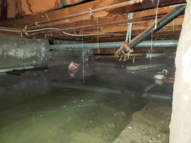 Water damage restoration insurance claims in Reed City, MI