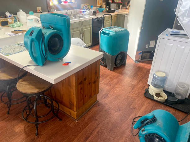 Best Fire Damage Restoration  in Reed City, MI