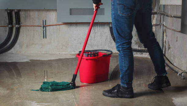 Best Professional water damage repair  in Reed City, MI