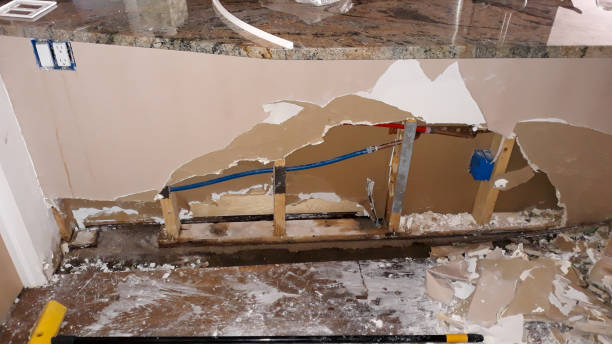 Best Water damage restoration company  in Reed City, MI