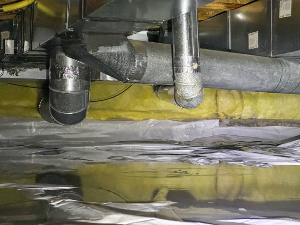 Best Water damage cleanup near me  in Reed City, MI